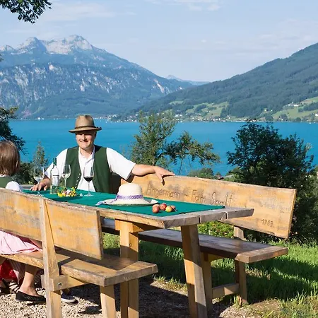 Attersee-Chalet Angermann Familie Spalt Steinbach am Attersee Exterior photo