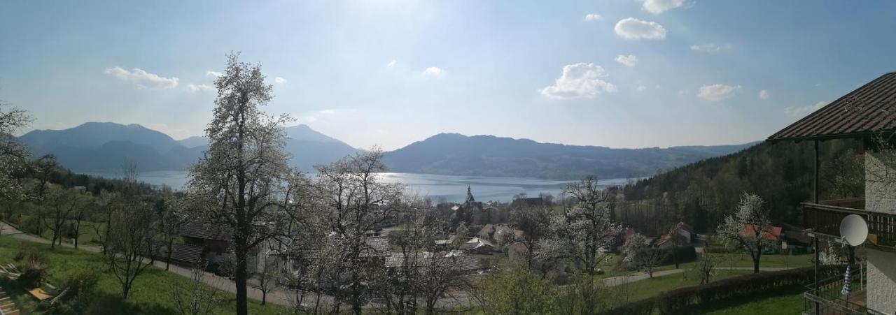 Apartment Attersee-chalet Angermann Familie Spalt