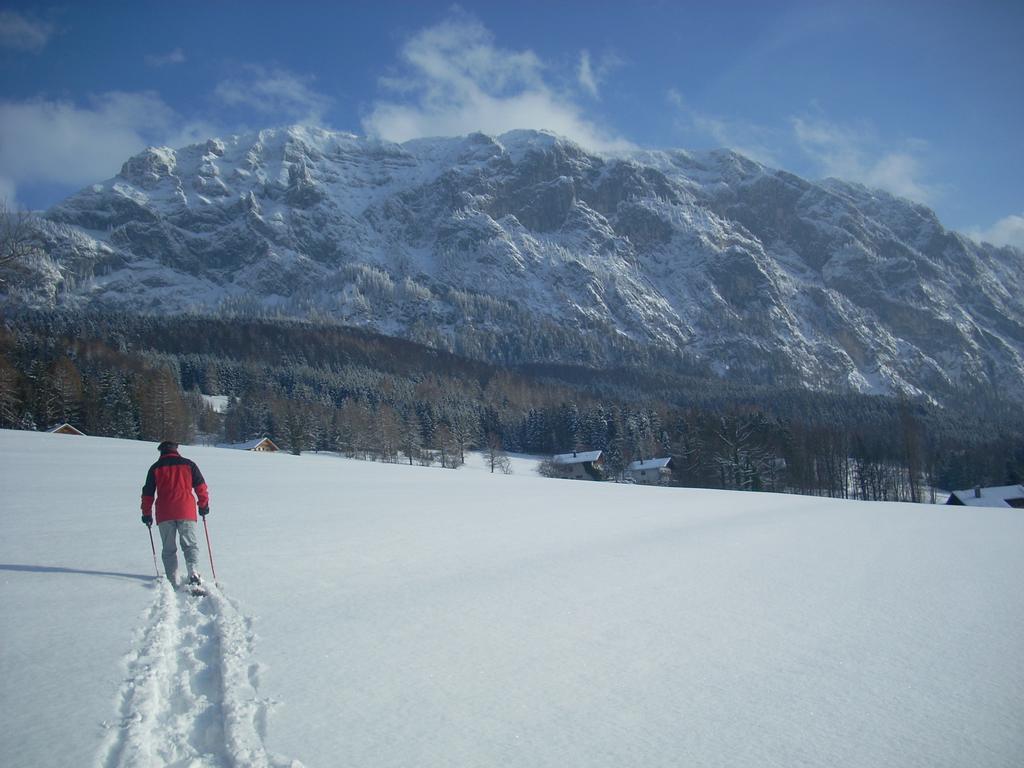 Apartment Attersee-chalet Angermann Familie Spalt