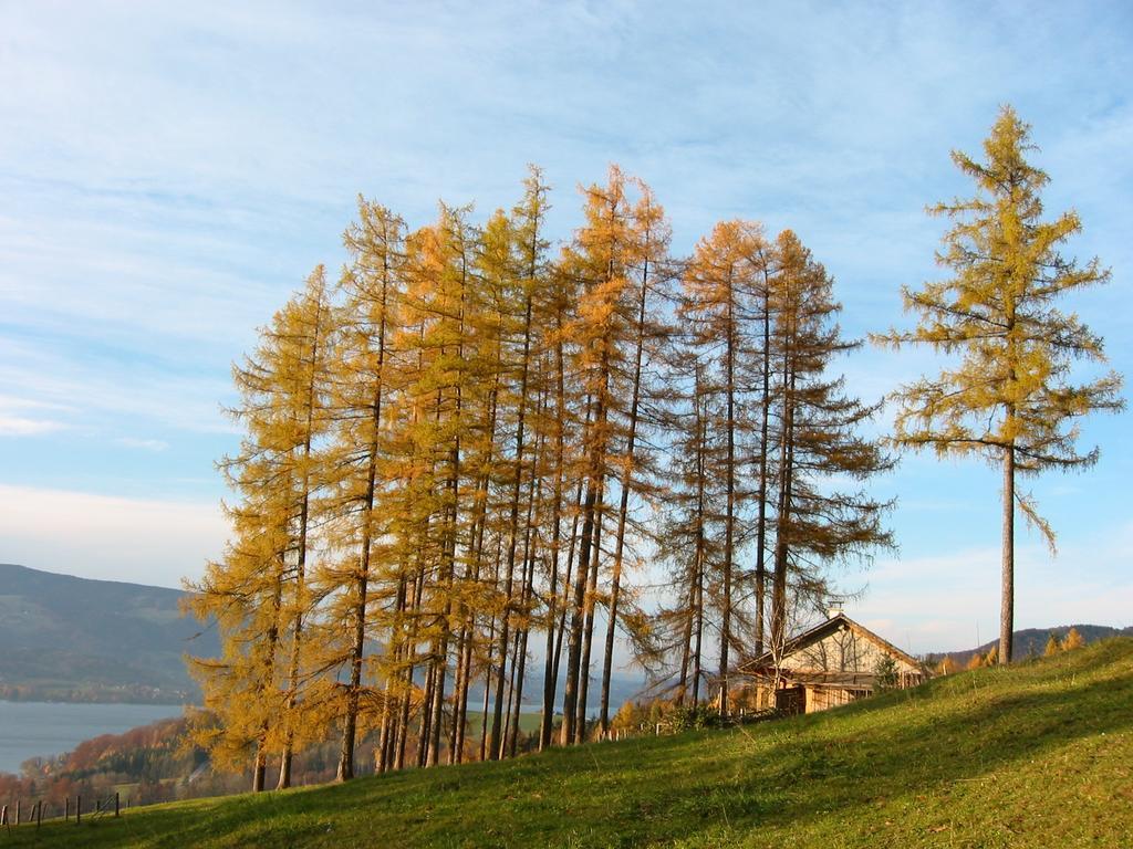 Attersee-chalet Angermann Familie Spalt